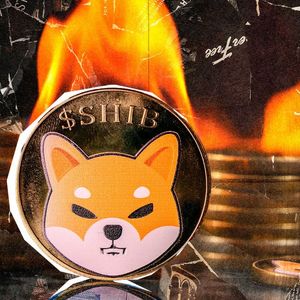 SHIB Burns Skyrocket 340%, Price Reacts Unexpectedly