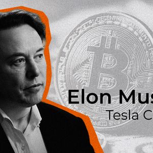 Here's How Much Bitcoin Elon Musk's Leading Innovative Company Holds