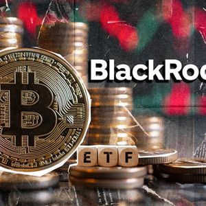 Top Bitcoin ETF Expert Debunks Insane BlackRock Rumor