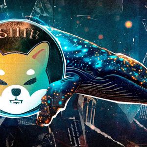 Shiba Inu Whales Betray SHIB Despite 1.62 Trillion Transfers: What’s Going On?