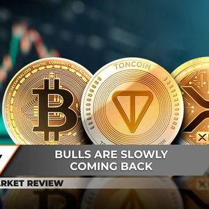 Bearish XRP Triangle Stops Bulls, Toncoin (TON) Performs Fundamental Breakout, Bitcoin (BTC) Is Above $60,000: What's Next?