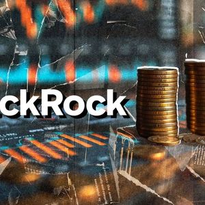 Blackrock Issues Crucial Market Announcement