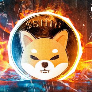 Shiba Inu Burn Rate Skyrockets 5975% as SHIB Price Jumps