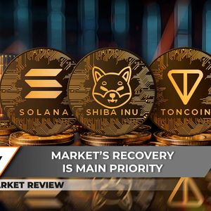 Solana (SOL) Crashes, But Not As You Think, Shiba Inu's (SHIB) Comeback Potential, Don't Miss This Toncoin (TON) Volatility Pattern