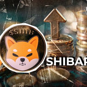 Shiba Inu (SHIB) Ecosystem Stunned as 24-Hour Shibarium Fees Jump Over 2,190%