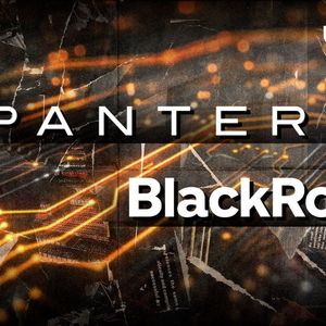 Former BlackRock Managing Director Joins Crypto VC Heavyweight Pantera Capital