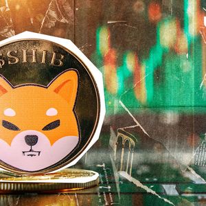 Shiba Inu (SHIB) Explodes 2,944% in Massive Bullish Whale Activity Spike