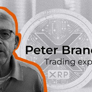 Legendary Trader Peter Brandt Warns XRP Is Heading to Zero Against Bitcoin