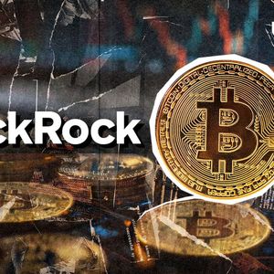 Blackrock Calls Bitcoin 'Global Monetary Alternative'
