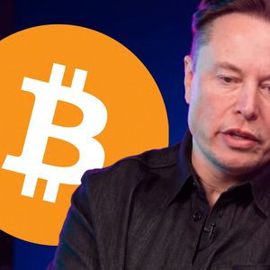 Elon Musk's Satoshi Theory Might Be Proved True This Week