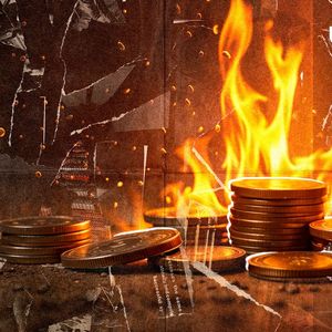 TON's SHIB Rival Completes First-Ever Token Burn: Details