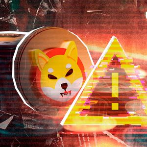 Crucial Warning Issued to Shiba Inu Community as SHIB Gets Into Spotlight