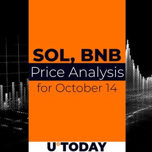 SOL and BNB Price Prediction for October 14