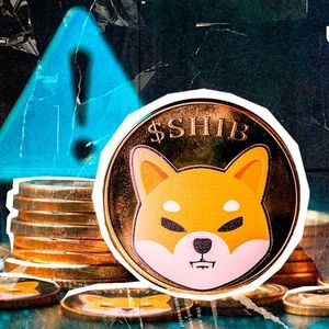 Crucial Message About Power of Crypto Issued by SHIB Executive