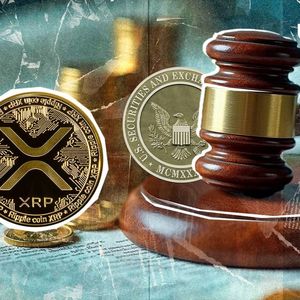 Ripple v SEC: What’s at Stake for XRP? SEC Veteran Breaks Down