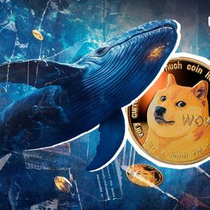 Dogecoin Whales Buy 899% More DOGE Amid Meme Coin Price Increase