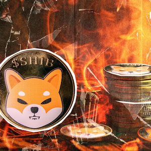 SHIB Burns Skyrocket on All Time Frames - What's Happening?