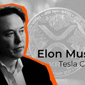 Elon Musk’s Mention of XRP Triggers XRP Army’s Excitement, But Here’s Catch