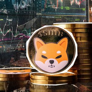 Only 2%: This Shiba Inu (SHIB) Inu Metric is Rising Questions