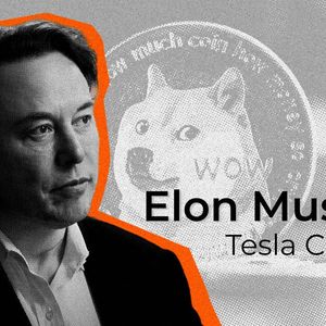 Elon Musk's DOGE Tweet Excites Crypto Community: Details
