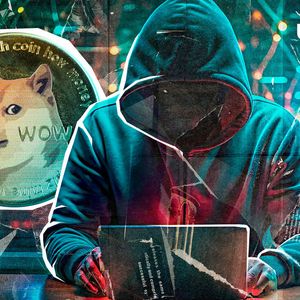 Dogecoin Co-Founder Breaks Silence on Meme Coins Profitability