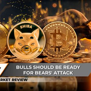 But What's Next? Solana (SOL) To Reach $200 in November if This Continues, Key Reason Why Shiba Inu (SHIB) is Not in Bull Market, Bitcoin (BTC) All-Time High Is Almost In