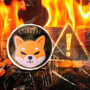 Crucial SHIB Burn Warning Goes Out to Shiba Inu Community
