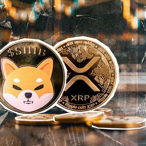 SHIB Outshines XRP: 20% Rally Leaves XRP's 4% Gain in the Dust