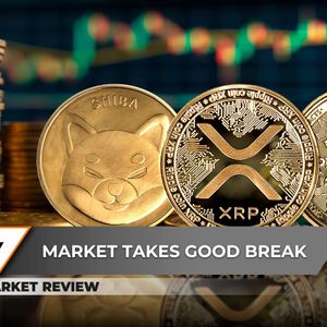 Shiba Inu (SHIB) Is Ready For More Growth, Will Fantastic Cardano (ADA) Growth Continue? XRP Loses 13% In One Go: What's Next?