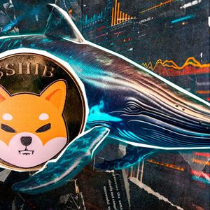 Shiba Inu (SHIB) Whales Strategy Revealed: Here's What Major Investors Do Right Now