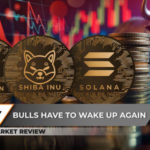 Bitcoin (BTC) Hits Crucial Price Level: Details, Here's Why Shiba Inu (SHIB) Moving Like Snail, Solana (SOL) Pushes to $300 as Billions In Volume Flow In