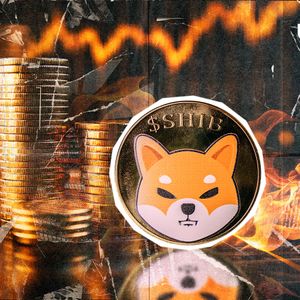 SHIB Burns Skyrocket 49,464%: Here’s What’s Happening
