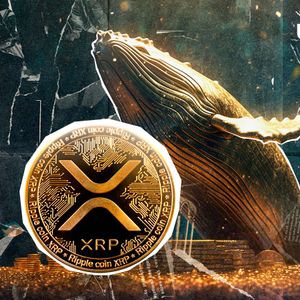 XRP Rockets Epic $81.5 Million in Bullish Whale Activity in Just 2 Days