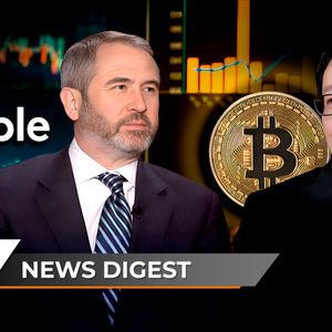 Ripple CEO Secures "60 Minutes" Interview, "Bitcoin Black Friday Sale" Kicks Off, Says Samson Mow, Shiba Inu's Skyrocketing Invalidated: Crypto News Digest by U.Today