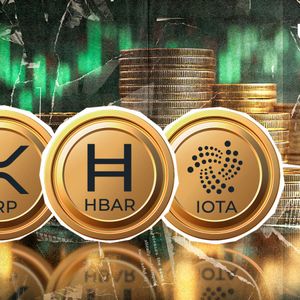 $500 Million Liquidation Chaos Crowns XRP, HBAR, and IOTA as Top Winners