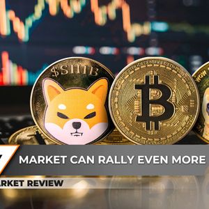 Bitcoin (BTC) Can't Break $100,000, Dogecoin (DOGE) Can Sniff $0.5, Did Shiba Inu (SHIB) Form Hidden Cup and Handle Pattern?