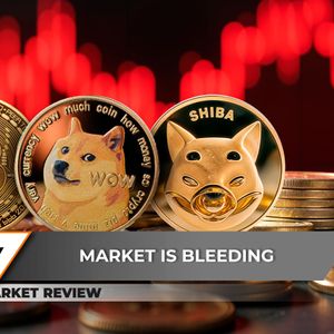 Bitcoin (BTC): $100,000 Is Not Forgotten, Dogecoin (DOGE) Loses It, Shiba Inu (SHIB) Catastrophic Drop: What's Next?