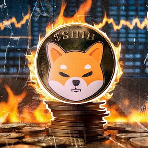 SHIB Burns Skyrocket 319,571% - What’s Happening?