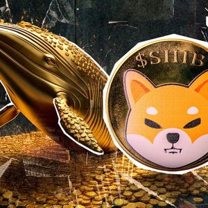 Shiba Inu Whale Moves Explode 258%, Sparks Market Frenzy