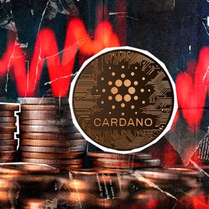 Has Cardano Finally Bottomed Out? Price Rebound Underway