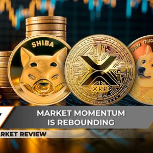 Shiba Inu (SHIB) Lost Major Support, XRP Bullish Formation Invalidated, Dogecoin (DOGE) Reaches Key Support Level