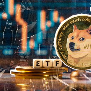 Why No Dogecoin ETF? Industry Veteran Questions Meme Coin ETF Absence