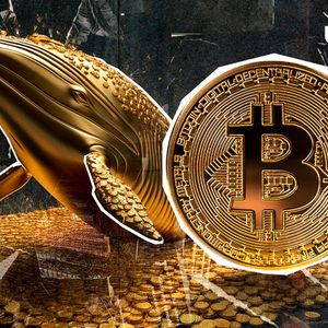 Dormant Massive Bitcoin Whale Awakens After 11 Years: Details