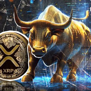 XRP Bears Crushed as Bulls Claim 567% Liquidation Advantage