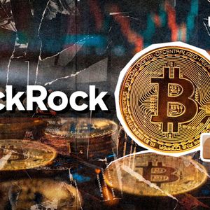 Record $330 Million Outflow Hits BlackRock Bitcoin ETF as 2025 Begins