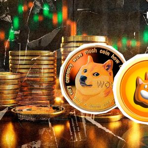 Dogecoin (DOGE) Second Best Performer in Top 100, Bonk (BONK) Follows