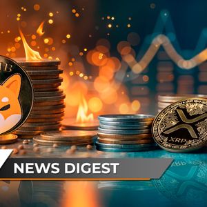 Shiba Inu Burn Rate Skyrockets 4,100%, XRP Sees Unusual 111% Volume Boost Amid Slipping Prices, BNB Adopted As Strategic Reserve Asset in This Country: Crypto N...