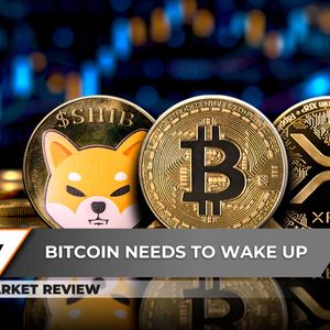 Enormous XRP Breakout to Launch Skyrocketing Rally, Shiba Inu (SHIB): Pattern You Don't Avoid, Bitcoin (BTC) Is Still Sleeping