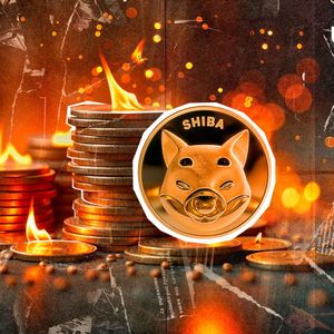 SHIB Burns Skyrocket 2,221%, Here's What's Happening