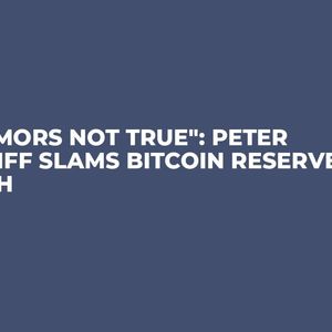 "Rumors Not True": Peter Schiff Slams Bitcoin Reserve Push